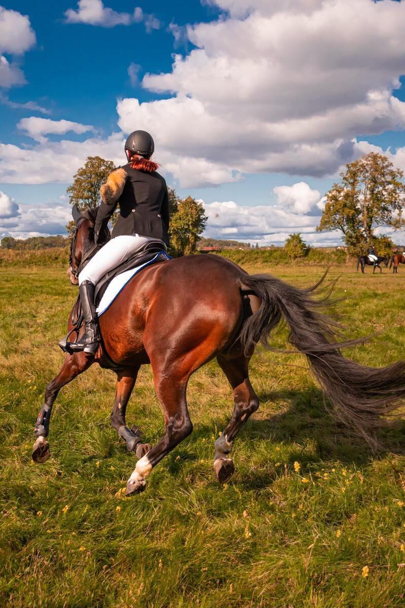 Equitation